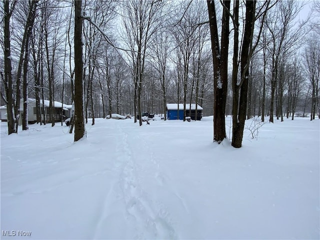 view of yard covered in snow