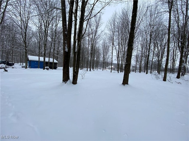 view of yard layered in snow