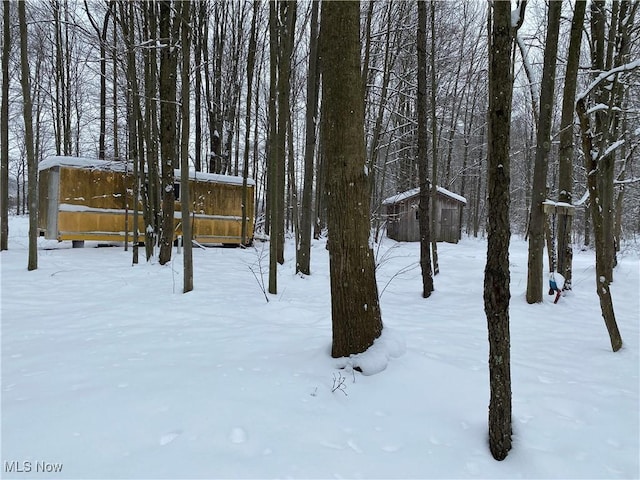 view of yard covered in snow