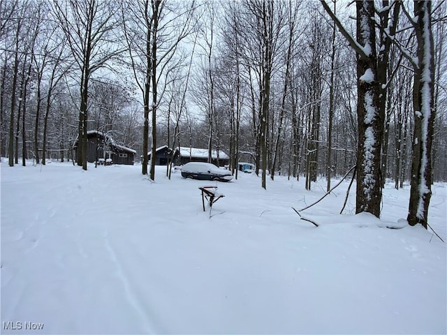 view of snowy yard