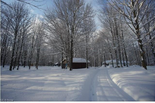 view of yard layered in snow