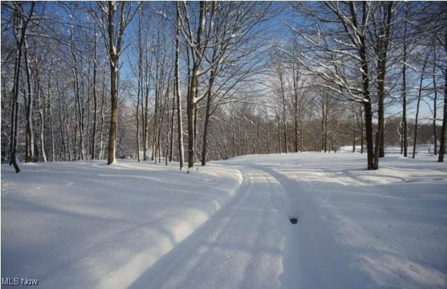 view of yard covered in snow