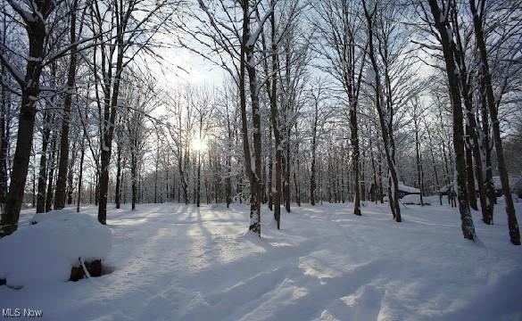 view of yard layered in snow