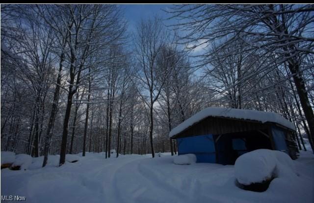 3029 Sweet Rd, Conneaut, OH 44030 - view of yard layered in snow