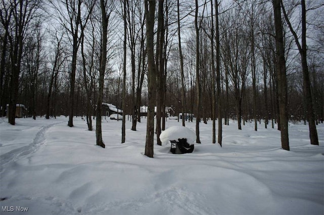 view of yard covered in snow