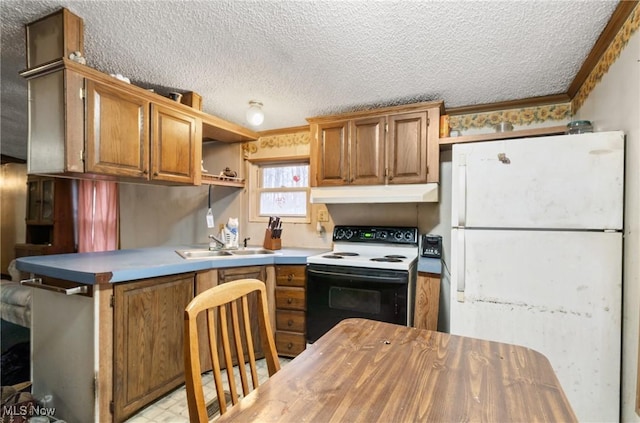 3029 Sweet Rd, Conneaut, OH 44030 - kitchen with under cabinet range hood, a sink, electric range oven, open shelves, and freestanding refrigerator