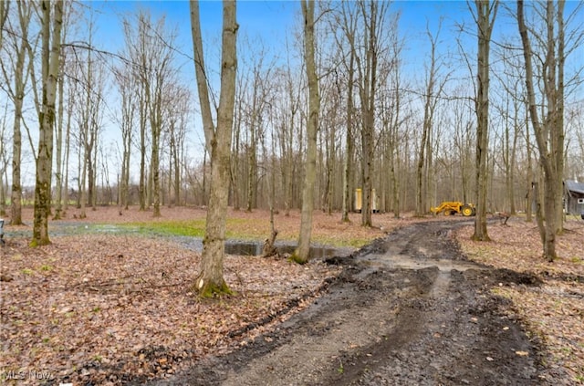 3029 Sweet Rd, Conneaut, OH 44030 - exterior space