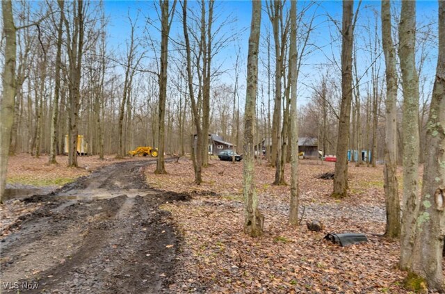 3029 Sweet Rd, Conneaut, OH 44030 - view of yard featuring driveway