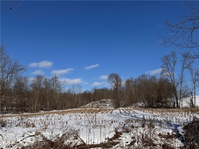 9602 Munson Rd, Shreve OH, 44676 land for sale