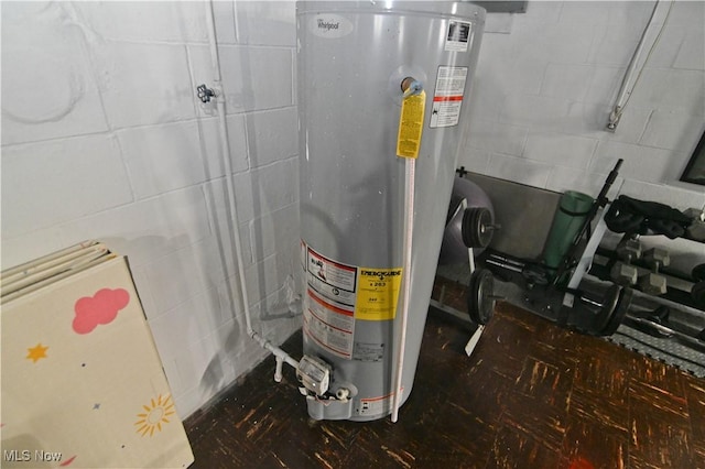 utility room with water heater