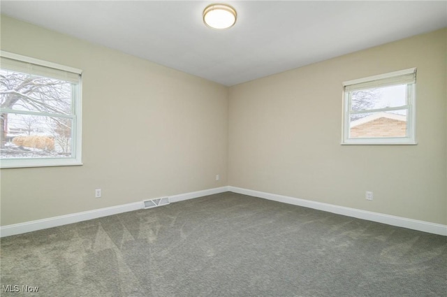 carpeted spare room with a wealth of natural light