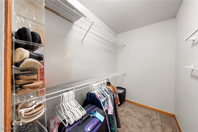 walk in closet with carpet flooring