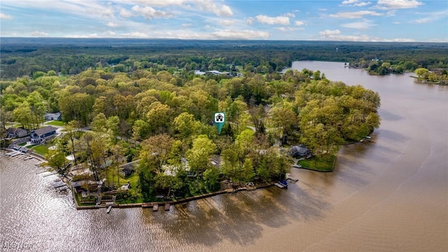 drone / aerial view of a forest and a nearby body of water