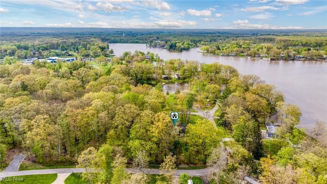 drone / aerial view of a forest and a nearby body of water