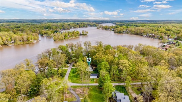 bird's eye view of a forest and a large body of water