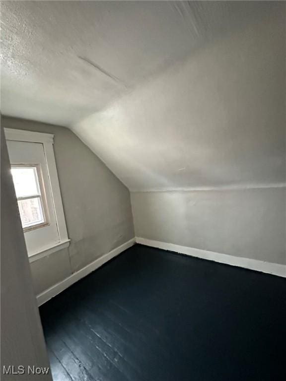 additional living space featuring wood-type flooring and lofted ceiling