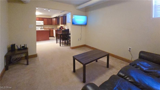 living room featuring light colored carpet