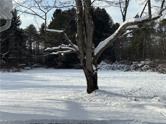 view of yard layered in snow