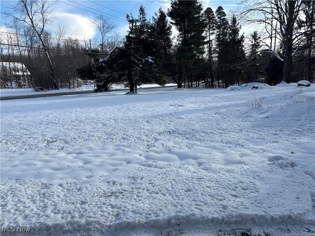 view of yard covered in snow