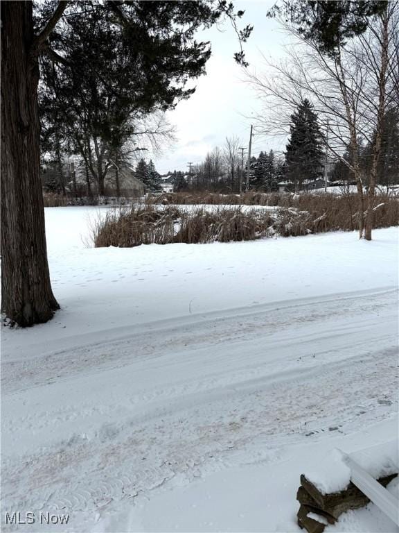 view of yard layered in snow