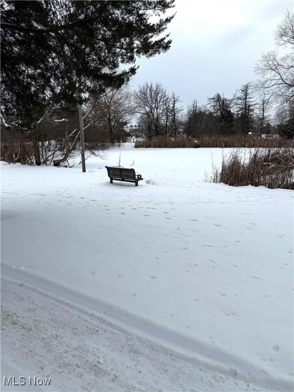 view of yard covered in snow