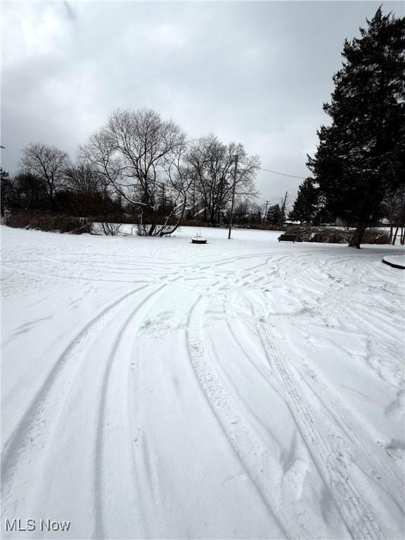 view of yard covered in snow