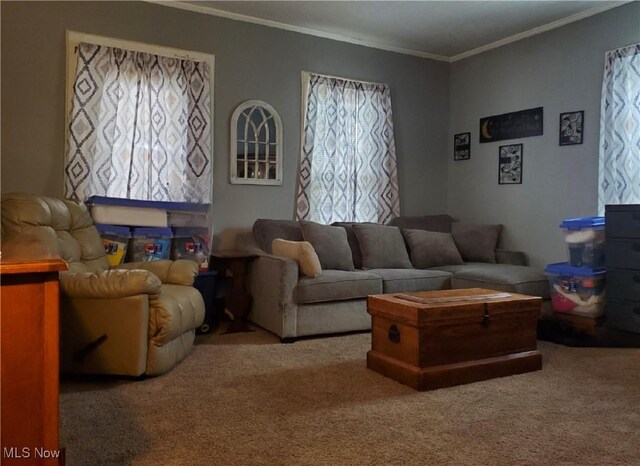 living room featuring ornamental molding and carpet flooring