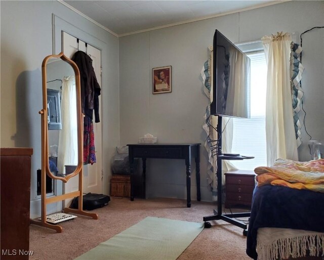 carpeted bedroom featuring crown molding