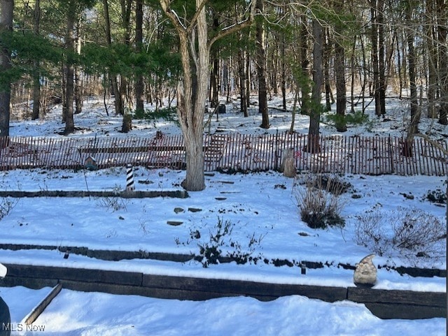 view of yard layered in snow