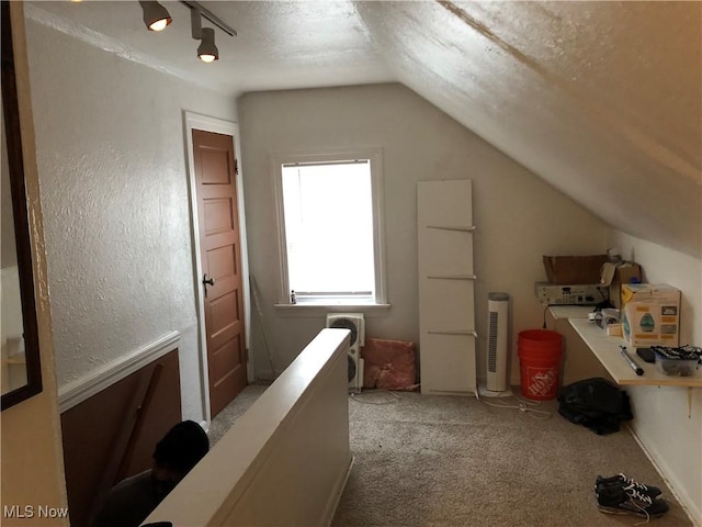 additional living space with light carpet, a textured ceiling, and lofted ceiling