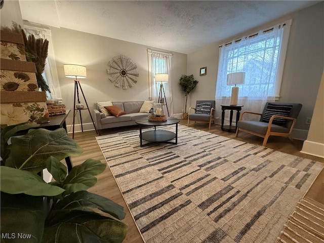 living room with hardwood / wood-style floors and a textured ceiling