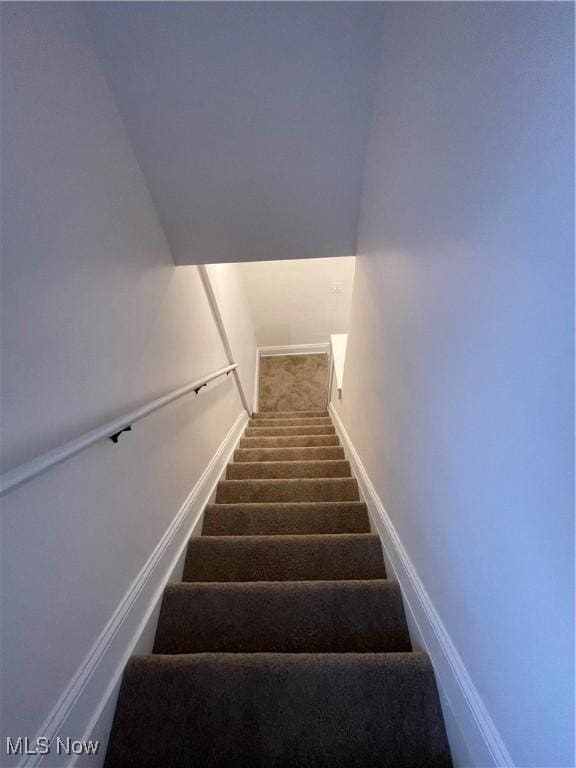 stairs with carpet floors