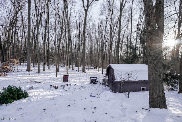 view of snowy yard