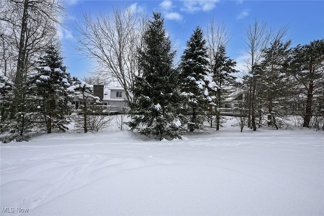 view of snowy yard