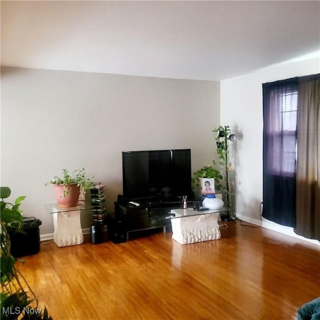 living room featuring hardwood / wood-style floors