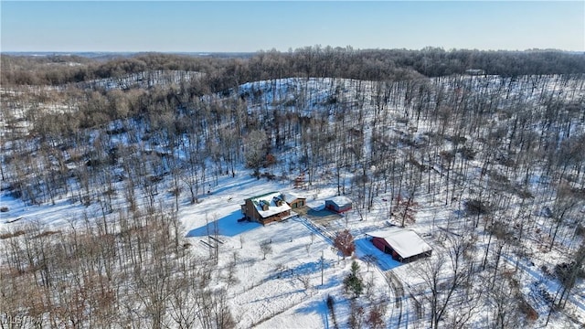 view of snowy aerial view