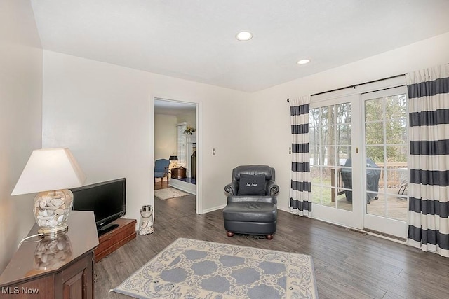 living area featuring dark wood-type flooring