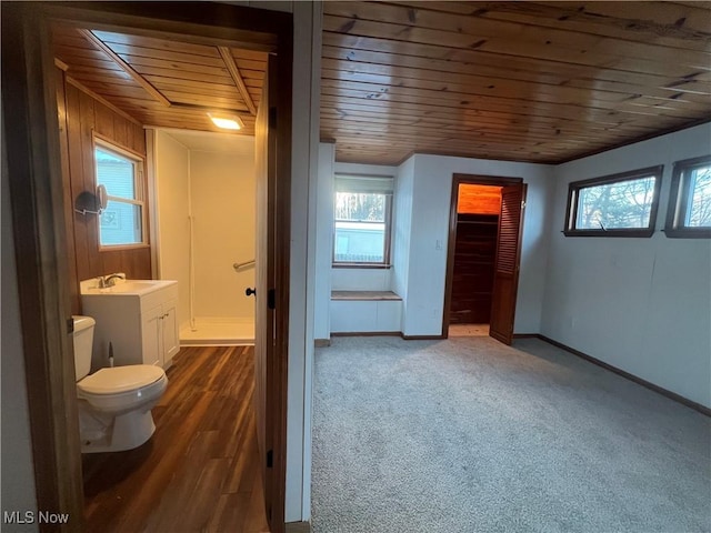 bathroom with vanity, wooden ceiling, and toilet