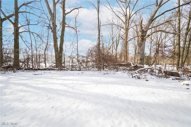 view of snowy yard