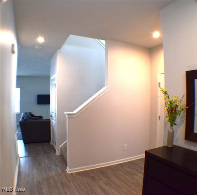 interior space featuring dark hardwood / wood-style flooring