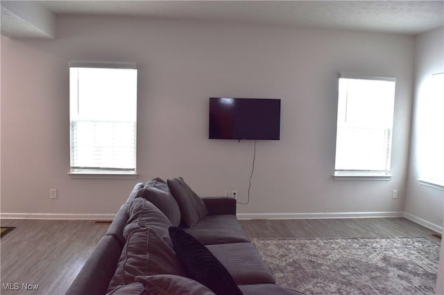 living room featuring dark wood-type flooring