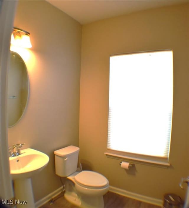 bathroom featuring hardwood / wood-style floors and toilet