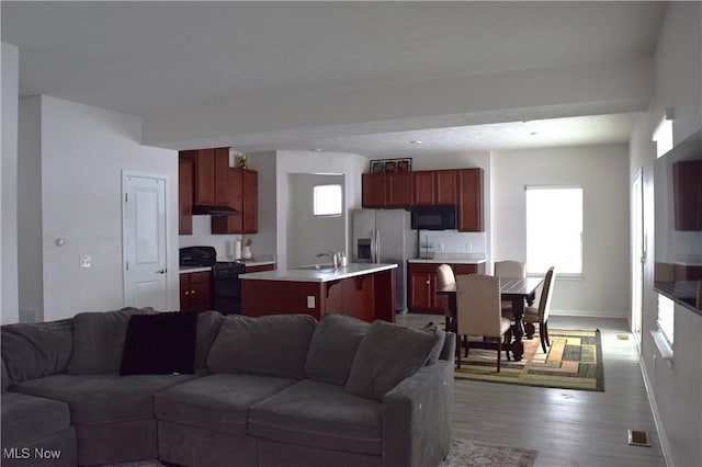 living room featuring light hardwood / wood-style floors, a wealth of natural light, and sink