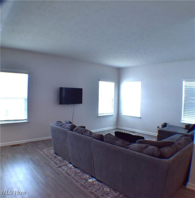 living room featuring a healthy amount of sunlight and wood-type flooring