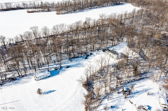 view of snowy aerial view