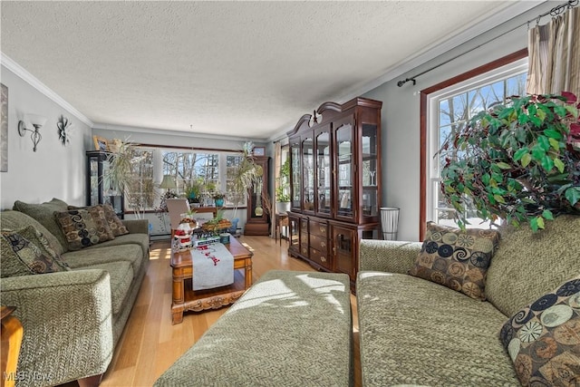 living room featuring a healthy amount of sunlight, light wood-type flooring, and a textured ceiling