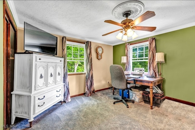 carpeted office featuring ceiling fan, a textured ceiling, and ornamental molding