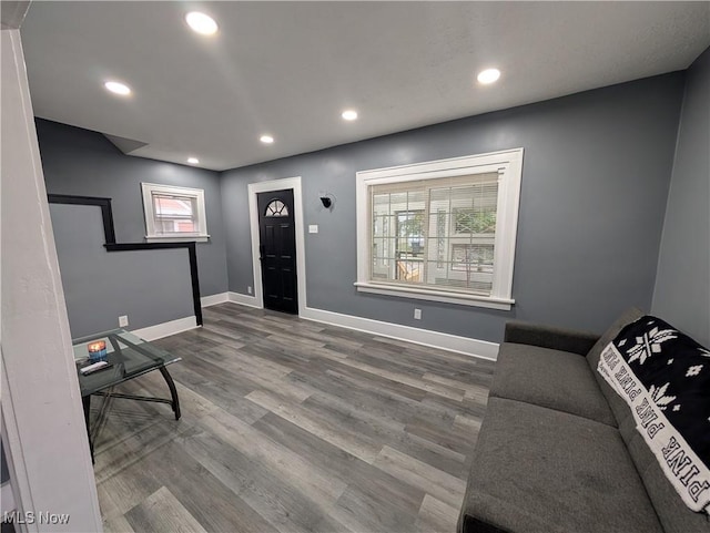 living area with a healthy amount of sunlight and wood-type flooring