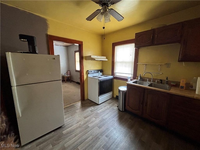 kitchen with refrigerator, sink, electric range, ceiling fan, and dark brown cabinets