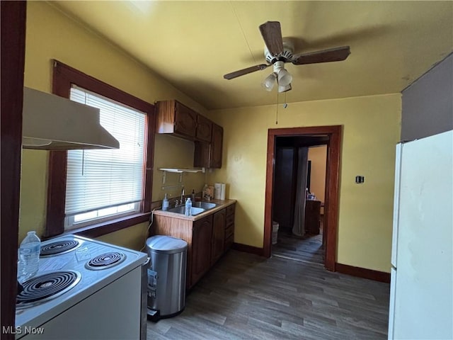 kitchen with white appliances, exhaust hood, sink, ceiling fan, and dark hardwood / wood-style flooring